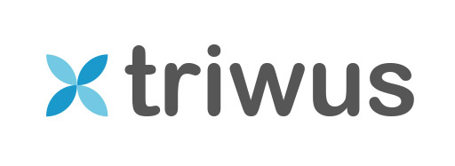 Triwus, Plataforma de Creación Web